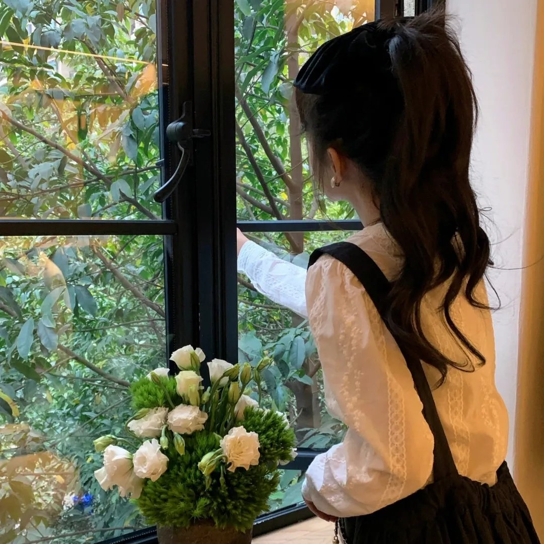 杀妻案封面
