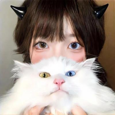 北美小鹿猎人传奇封面